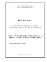 Đề tài nghiên cứu khoa học: Giải pháp giảm thiểu thiệt hại cây xanh do bão gió tại Thành phố Hải Phòng