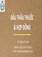 Dau thau va hdkt hth 11 11 25