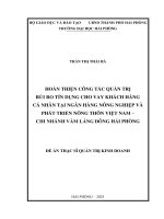 Luận văn thạc sĩ Quản trị kinh doanh: Hoàn Thiện công tác quản trị rủi ro tín dụng cho vay khách hàng cá nhân tại Ngân hàng Nông nghiệp và Phát triển nông thôn Việt Nam - Chi nhánh Vàm Láng Đông Hải Phòng