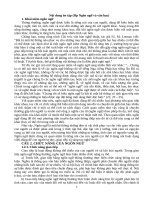 Nội dung Ôn tập ngôn ngữ và vh chk17 Đ2