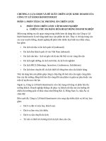 Lựa chọn và Đề xuất chiến lược kinh doanh của công ty lữ hành hanoitourist