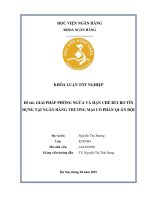 Khóa luận tốt nghiệp Ngân hàng: Giải pháp phòng ngừa và hạn chế rủi ro tín dụng tại Ngân hàng Thương mại Cổ phần Quân đội