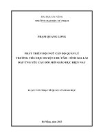 Phát triển Đội ngũ cán bộ quản lý trường tiểu học huyện chư păh  tỉnh gia lai Đáp Ứng yêu cầu Đổi mới giáo dục hiện nay