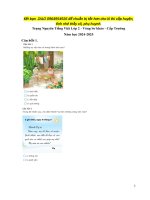 Tntv lop 2 cấp trường   (ma 01) 1