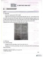 Lý thuyết tiếng việt