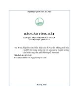 00060001064 nghiên cứu biểu hiện của rna dài không mã hóa (lncrna) trong mẫu mô và exosome huyết tương của bệnh ung thư phổi không tế bào nhỏ