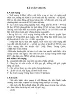 Ôn tập 10 cuộc cải cách