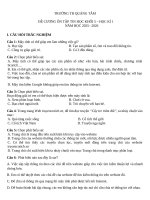 Đề cương Ôn tập môn tin học lớp 5