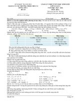 Đề 115 (5 bản)m