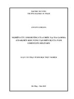 Nghiên cứu Ảnh hưởng của chiếu xạ tia gamma (co 60) Đến khả năng tạo biến dị của nấm cordyceps militaris