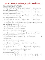 Đc ck1 toán 11 co dap an