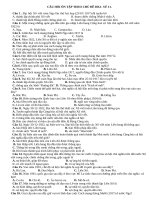 Câu hỏi Ôn tập theo chủ Đề hk1 sử 11