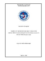 Nghiên cứu thành phần hoá học và hoạt tính kháng viêm của hai loài bạch tật lê (tribulus terrestris) và dây ký ninh (tinospora crispa)