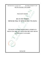 Ứng dụng nấm men rhodotorula diobovata nhằm tăng hiệu quả nuôi tôm thẻ chân trắng (litopenaeus vannamei)
