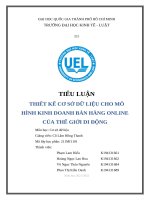 Tiểu luận thiết kế cơ sở dữ liệu cho mô hình kinh doanh bán hàng online của thế giới di Động