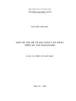 Một số vấn Đề về bài toán cân bằng trên Đa tạp hadamard