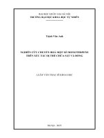 01050005816 nghiên cứu chuyển hoá một số monoterpene trên xúc tác dị thể chứa sắt và Đồng