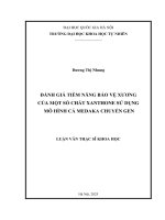 01050005815 noi dung Đánh giá khả năng bảo vệ xương của một số chất xanthone sử dụng mô hình cá medaka chuyển gen