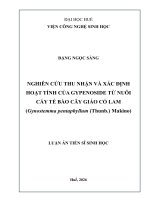 Nghiên cứu thu nhận và xác Định hoạt tính của gypenoside từ nuôi cấy tế bào cây giảo cổ lam (gynostemma pentaphyllum (thunb ) makino)