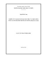 01050005849 nghiên cứu tạo quần Đàn ban Đầu phục vụ chọn giống nâng cao tốc Độ sinh trưởng Ốc hương (babylonia areolate)