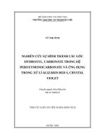 Tóm tắt nghiên cứu sự hình thành các gốc hydroxyl, carbonate trong hệ peroxymonocarbonate và Ứng dụng trong xử lí alizazin red s, crystal violet
