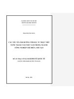 00050014262 nội dung các yếu tố Ảnh hưởng tới Đầu tư trực tiếp nước ngoài vào việt nam trong ngành công nghiệp chế biến, chế tạo