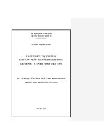 00050014265 nội dung phát triển thị trường cho sản phẩm xe ford territory tạii công ty tnhh ford việt nam