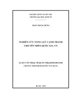 00050014277 nội dung nghiên cứu năng lực cạnh tranh cho tên miền quốc gia  vn