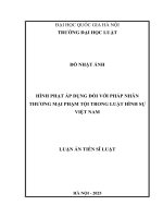 Hình phạt áp dụng đối với pháp nhân thương mại phạm tội trong Luật hình sự Việt Nam