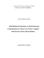 00051000999 solid biofuel production via hydrothermal carbonization of urban tree waste coupled with process water recirculation