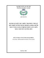 00050014353 Nội Dung Đánh Giá Kết Quả Điều Trị Phẫu Thuật Kết Hợp Xương Bằng Đinh Gamma Dưới Mà Tăng Sáng Ở Bệnh Nhân Gãy Liên Mấu Chuyển Xương Đùi.pdf