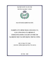 00050014394 Nội Dung Nghiên Cứu Hình Thái Lâm Sàng Và Cận Lâm Sàng Của Bệnh Lý Cholesteatoma Tai Giữa Ở Trẻ Em Tại Bệnh Viện Tai Mũi Họng Trung Ương.pdf