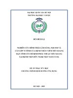 00050014360 Nội Dung Nghiên Cứu Hình Thái Lâm Sàng, Nội Soi Và Cắt Lớp Vi Tính Của Bệnh Nhân Viêm Mũi Xoang Mạn Tính Có Chỉ Định Phẫu Thuật Mũi Xoang Tại Bệnh Viện Hữu Nghị Việt Nam- Cu Ba.pdf