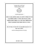 00050014331 Nội Dung Tối Ưu Hóa Hình Ảnh Cắt Lớp Vi Tính Có Tái Tạo Hình Chiếu Cường Độ Tối Đa (Mip) Trong Phát Hiện Các Nốt Đặc Phổi Dưới 5Mm Tại Bệnh Viện Phổi Trung Ương .Pdf