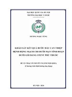 00050014390 Nội Dung Khảo Sát Kết Quả Bước Đầu Can Thiệp Bệnh Động Mạch Chi Dưới Mạn Tính Đoạn Dưới Gối Bằng Stent Phủ Thuốc.pdf