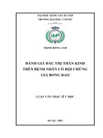 00050014321 Nội Dung Đánh Giá Đầu Thị Thần Kinh Trên Bệnh Nhân Có Hội Chứng Giả Bong Bao .Pdf