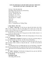 2  shcm cấp huyện kp quả cam  4 tuổi (steam)