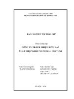 Báo cáo thực tập khoa kinh tế và kinh doanh quốc tế tại công ty tnhh xuất nhập khẩu national fortune