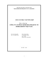 Báo cáo thực tập khoa kinh tế và kinh doanh quốc tế tại công ty cổ phần kinh doanh quốc tế simbagroup việt nam