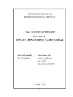 Báo cáo thực tập khoa kinh tế và kinh doanh quốc tế tại công ty cổ phần trans pacific global