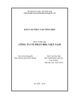 Báo cáo thực tập khoa kinh tế và kinh doanh quốc tế tại công ty cổ phần BHL Việt Nam