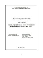 Báo cáo thực tập khoa kinh tế và kinh doanh quốc tế tại chi nhánh miền Bắc- Công ty cổ phần chuyển phát nhanh Newpost