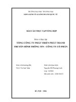 Báo cáo thực tập khoa kinh tế và kinh doanh quốc tế tại tổng công ty phát triển phát thanh truyền hình thông tin   công ty cổ phần