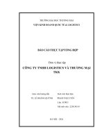 Báo cáo thực tập khoa kinh tế và kinh doanh quốc tế tại công ty tnhh logistics và thương mại tkk