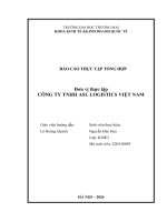 Báo cáo thực tập khoa kinh tế và kinh doanh quốc tế tại công ty tnhh asl việt nam logistics