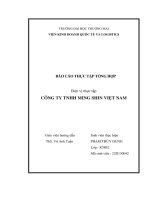 Báo cáo thực tập khoa kinh tế và kinh doanh quốc tế tại công ty tnhh ming shin việt nam