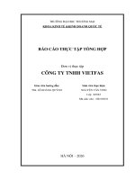 Báo cáo thực tập khoa kinh tế và kinh doanh quốc tế tại công ty tnhh vietfas