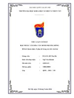 Essay quan niệm về phụ nữ trong các nền văn hóa