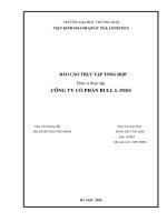 Báo cáo thực tập khoa kinh tế và kinh doanh quốc tế tại công ty cổ phần Bull Lines