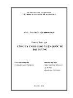 Báo cáo thực tập khoa kinh tế và kinh doanh quốc tế tại công ty tnhh giao nhận quốc tế Đại dương